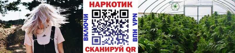 Купить наркотики цена Железногорск-Илимский Гашиш  Меф 